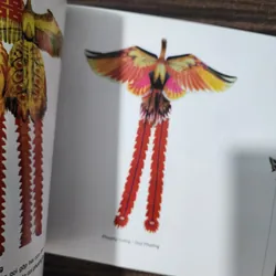 Diều Trung quốc | tôn bỉnh sơn | in màu 737701