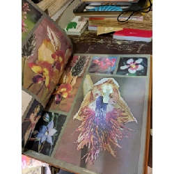 The Land and Wildlife of Australia 993787