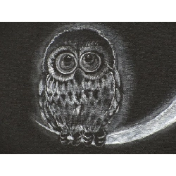 Đai Nagoya - Hàng hiệu Authentic 875933