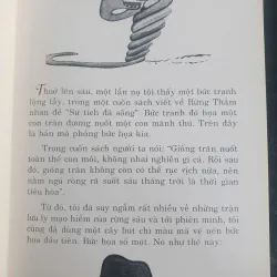 Hoàng Tử Bé - Bùi Giáng Dịch 736313