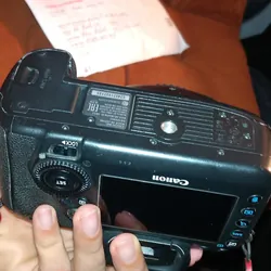 Canon 5d4 và lens 50stm 558832