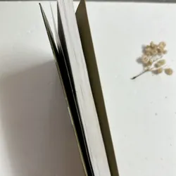 Người tình – Marguerite Duras 596750