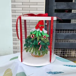 CÂY THÔNG NOEL KẼM NHUNG 735544