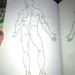 Bấm huyệt (Cách chữa & sự ích lợi) - FM. Houston, DC 1001145