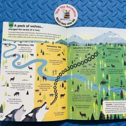 series Usborne “100 Things to Know About…” 785045