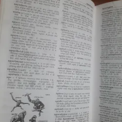 Từ điển Anh-Việt (Modern English dictionary) 748168