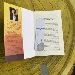 COMBO NGƯỜI ĐUA DIỀU & NGÀN MẶT TRỜI RỰC RỠ 745813