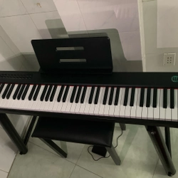 Đàn piano điện Wersi24  379188