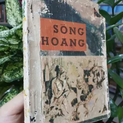 SÓNG HOANG - HOÀI ĐIỆP TỬ