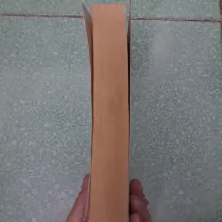 The adventures and memoirs of sherlock homes 997964