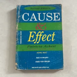 Cause & Effect (Song ngữ) 