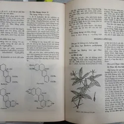NHỮNG CÂY THUỐC VÀ VỊ THUỐC VIỆT NAM 682769