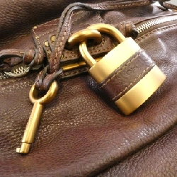 Túi Paddington Chloe - Hàng hiệu Authentic 803744