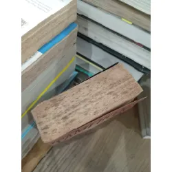 Dark paradise - Tami Hoag