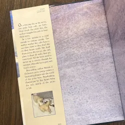 ✨𝑰𝒄𝒆 𝑩𝒆𝒂𝒓𝒔✨ 749617