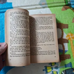 Chim Ưng Vẫy Cánh 786985