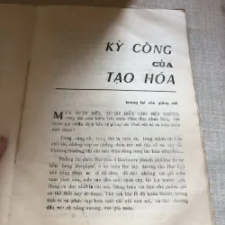 Bóng ma trong rừng Mỹ Châu 992440