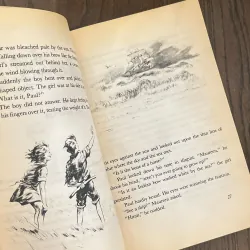 ✨𝑴𝒊𝒔𝒕𝒚 𝒐𝒇 𝑪𝒉𝒊𝒏𝒄𝒐𝒕𝒆𝒂𝒈𝒖𝒆✨ (Newbery Honor Book) 709264