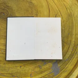  NGƯỜI ĐÀN BÀ VÀ CHIẾC CHÉN BẠC- PHẠM XUÂN HIẾU  787950