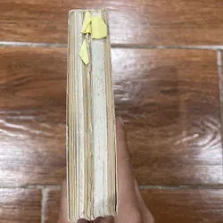 THEO DÒNG LỊCH SỬ - Trần Quốc Vượng (6) 703697