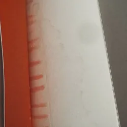 Combo 2c V. Nabokov 991099