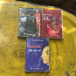 GIẢI PHẪU NGỰC- BỤNG- GIẢI PHẪU CHI TRÊN- CHI DƯỚI- GIẢI PHẪU  ĐẦU-MẶT- CỔ-TS.PĐD