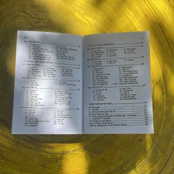 ĐƯỜNG VỀ CỰC LẠC- HT. THÍCH THƯỢNG TRÍ HẠ TỊNH 695239