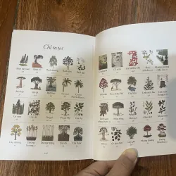 Sống như những cái cây  757898