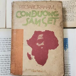 Tiểu thuyết CON ĐƯỜNG SẤM SÉT, tác giả Peter Abrahams