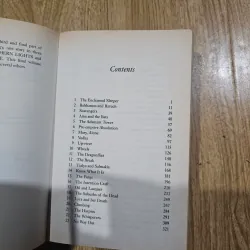 The amber spyglass  1012822