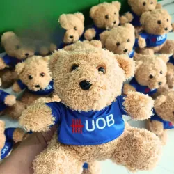 Gấu Bông Cao Cấp Teddy Cho Bé yêu 535314