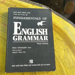 COMBO NGỮ PHÁP TIẾNG ANH TRÌNH ĐỘ TRUNG CẤP FUNDAMENTALS OF ENGLISH GRAMMAR-NHỮNG LỖI TT 737749