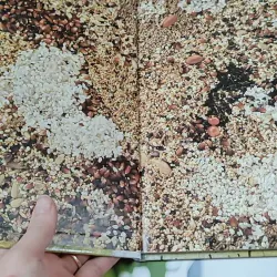 [Tặng nẹp góc] Truyện thiếu nhi Hàn Quốc: Moyamo Anu 56 -  모야모 아누와: 카멜레온에게 혼쭐난 아난시 732060