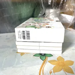 Orange Boxet  789093