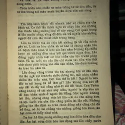 Đỉnh núi - Thu Bồn 961269