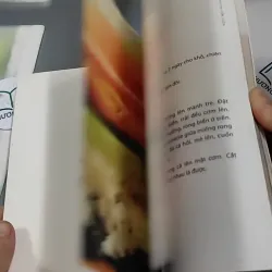 Các Món Sushi Cơm Cuộn - Thanh Nguyên & Triệu Thị Chơi 727331