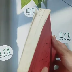 Những quy tắc trong quản lý - Richard Templar 688563