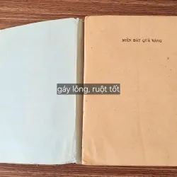 Tiểu thuyết Brazil MIỀN ĐẤT QUẢ VÀNG (Jorge Amado) - 540 trang 776261