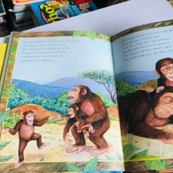13. 📚 4 CUỐN SÁCH TRUYỆN TRANH TIẾNG HÀN QUỐC CHO TRẺ EM 557387