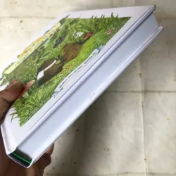 Chuyện Ở Rừng Vi Vu (song ngữ Việt - Anh) - Trương Huỳnh Như Trân 778509