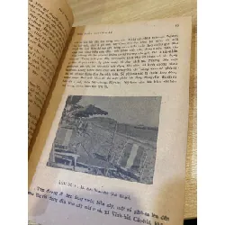 Non nước Ninh Thuận - Nguyễn Đình Tư 559331