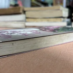 Giày thuỷ tinh nối duyên 🌊 693422