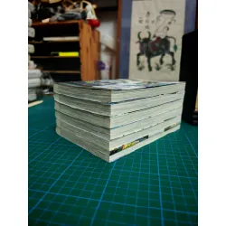 TRUYỆN TRANH NGƯỜI LẠ DƯỚI GIÓ XUÂN 377031