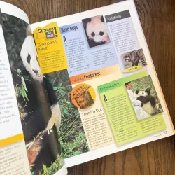 ✨𝑴𝒂𝒎𝒎𝒂𝒍𝒔✨ sách cũ ngoại văn, sách khoa học 565232