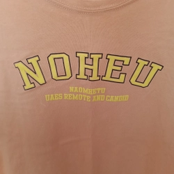 Áo thun nữ form rộng size L 548917