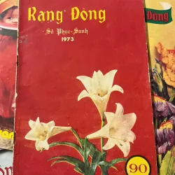 Tạp chí Rạng Đông (Trọn bộ/Số lượng lớn) - Hội Thánh Tin Lành Việt Nam 798713