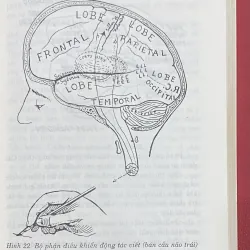 Tâm lý con người qua nét bút 1003087