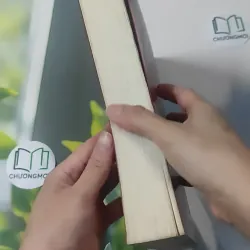 [MIỄN PHÍ BỌC SÁCH] Lịch Trăm Năm Thế Kỷ XXI - Lê Khánh Trường 1018914