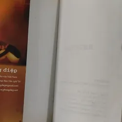 Blogger - Phong Điệp 798352