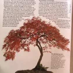The complete book of Bonsai - Harry Tomlinson 1002398